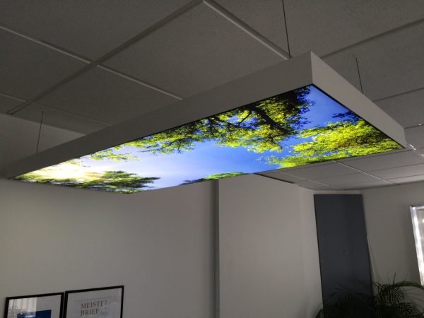 Lightbox T-120 - Image 10