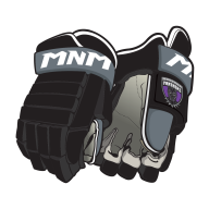 Hockey Gloves